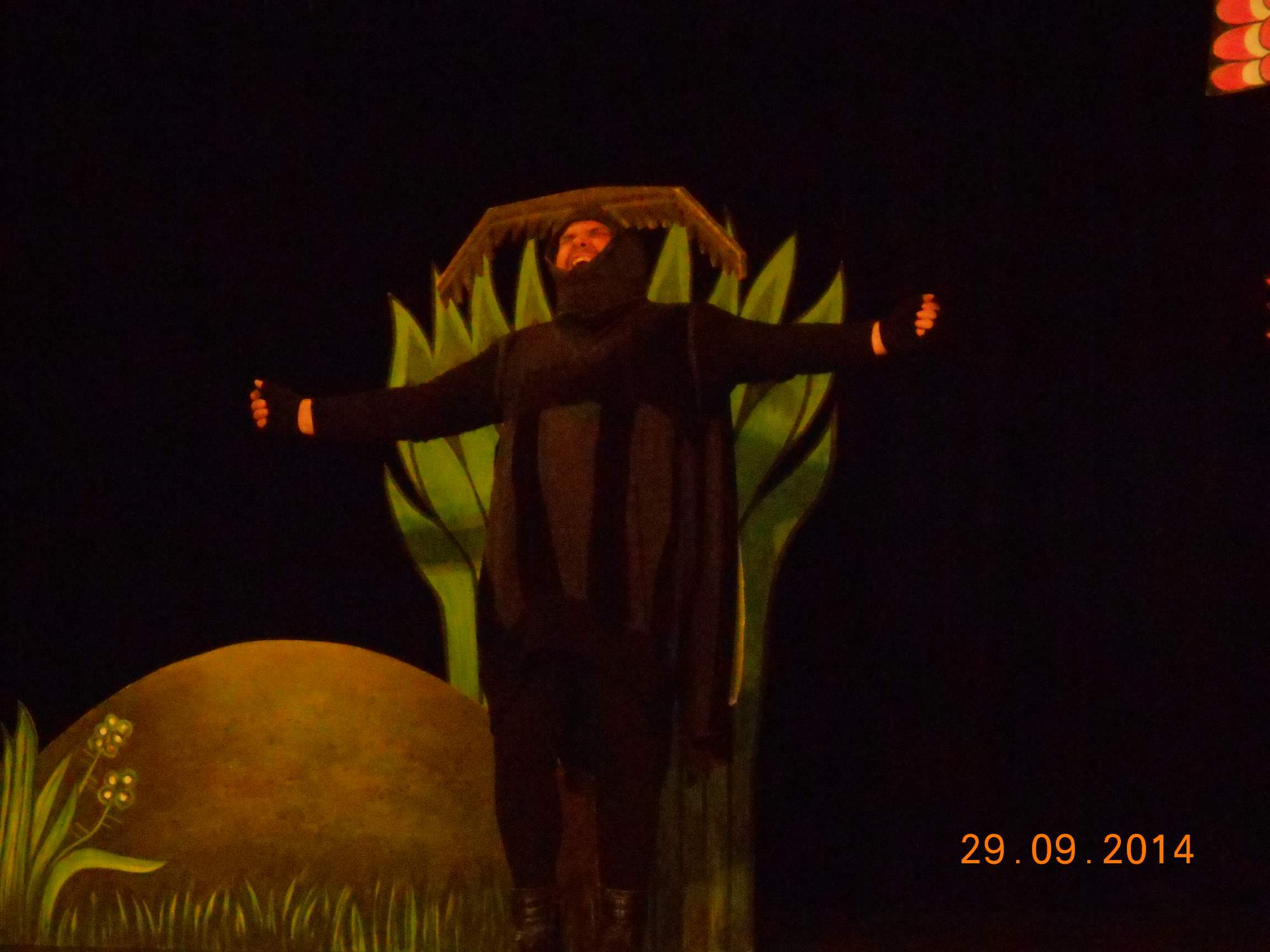 Divadlo_Podebrady_29.9.2014_018